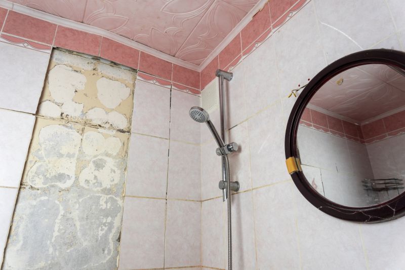 Top Shower Remodeling Companies in Oldsmar, FL